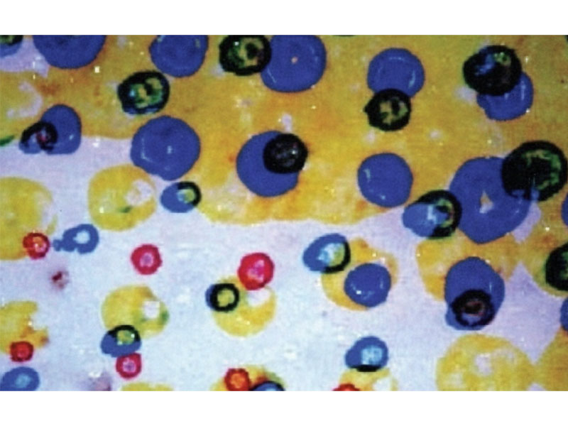 Flexo-Printing-Defects-of-Doughnuts 도넛의 플렉소 인쇄 결함