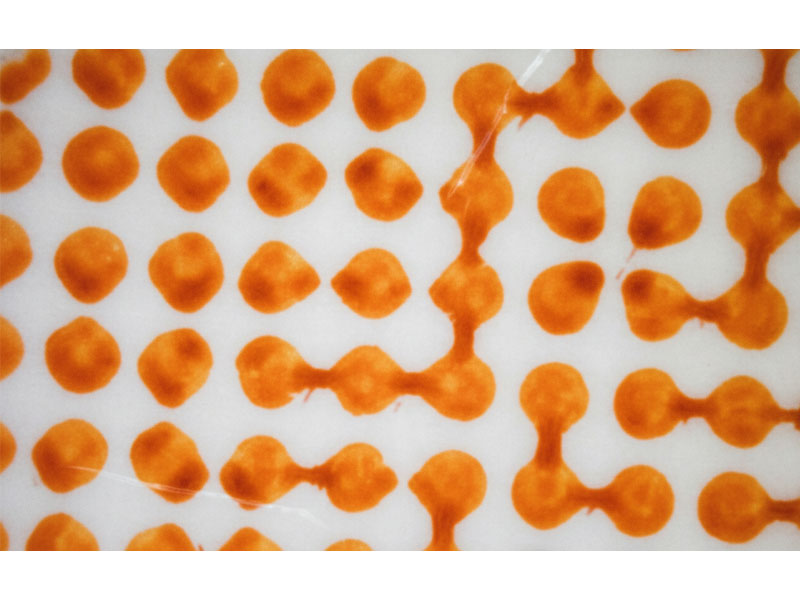 Flexo-Printing-Defects-of- Bridging 플렉소 인쇄 결함 브리징