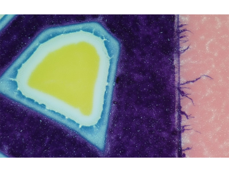 Excessive-Dot-Gain-of-Halo-Effect 후광 효과의 과도한 도트 이득